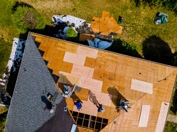 Best Roof Maintenance Services  in New Burlington, OH